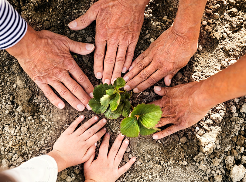 personas tocando una planta en el suelo